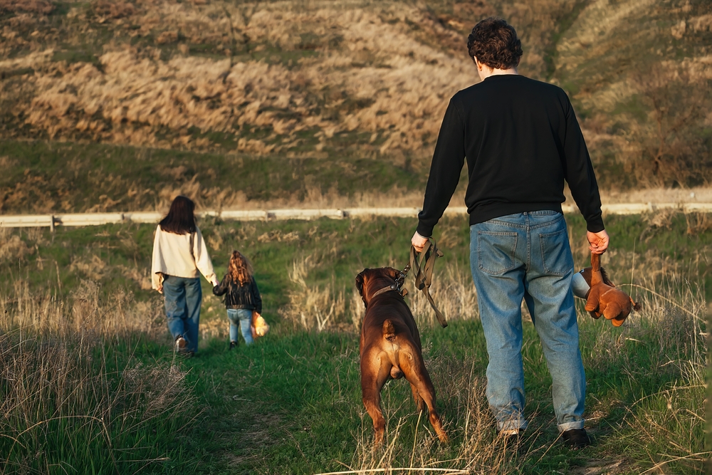 uncontested parenting plans