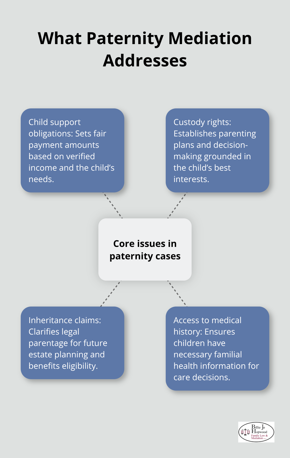 Infographic showing key issues resolved through paternity mediation in the U.S. - Paternity mediation process